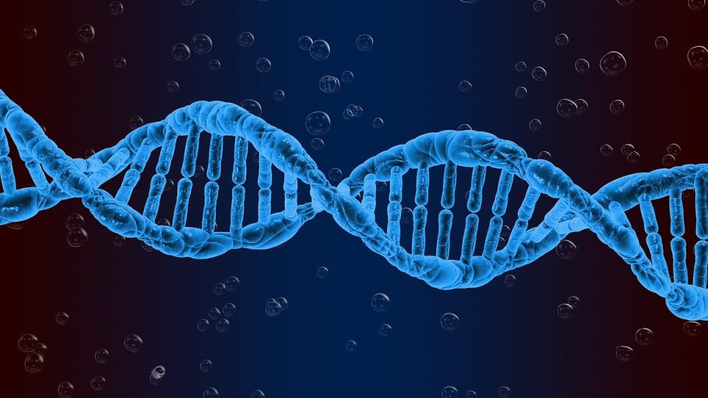 Muinaisten DNA:n Salaisuudet: Mitä Genomiarkeologia Paljastaa | Imhotep